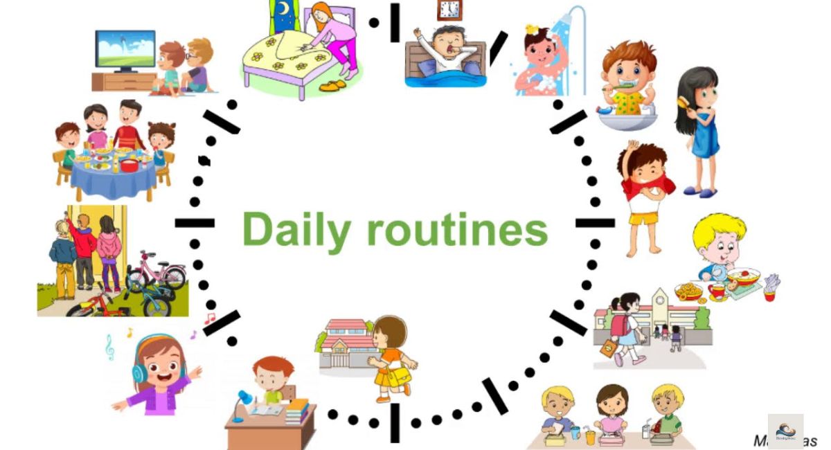 A Gentle Case Study of a Peaceful Sunday Routine