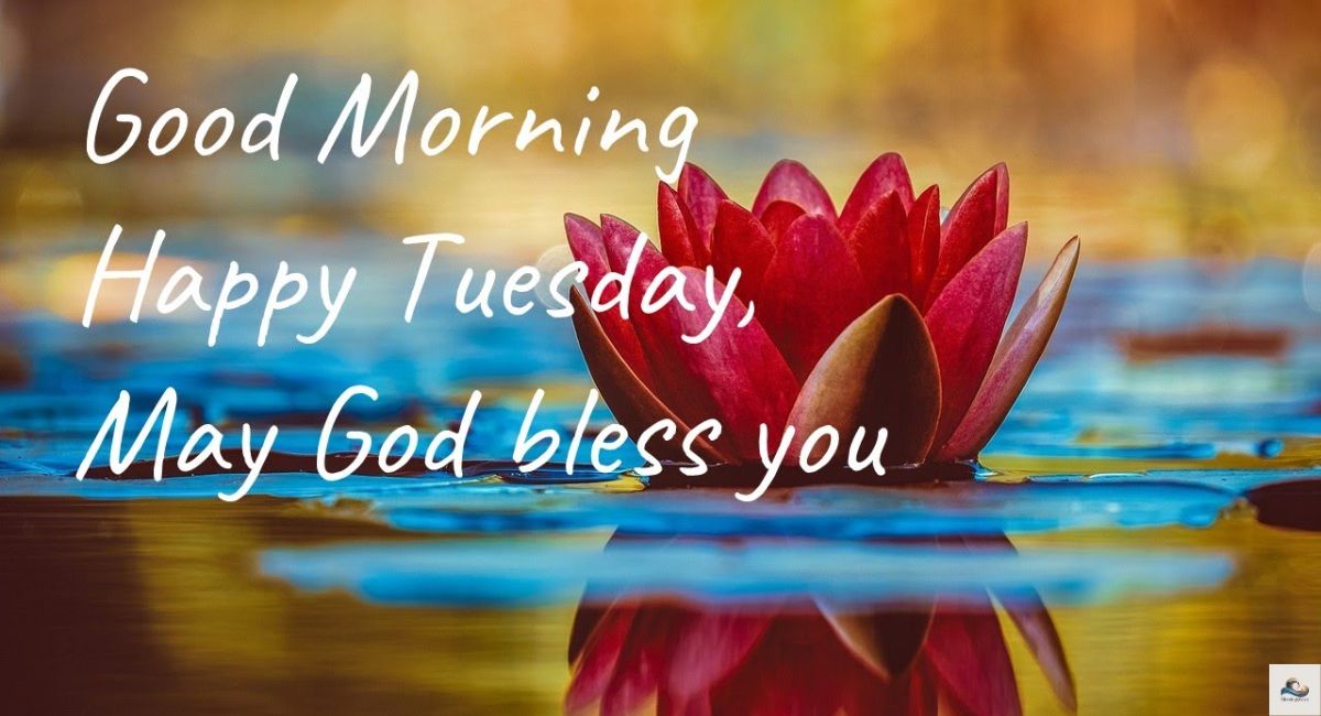 Good Morning Blessed Tuesday Wishes for Friends and Family