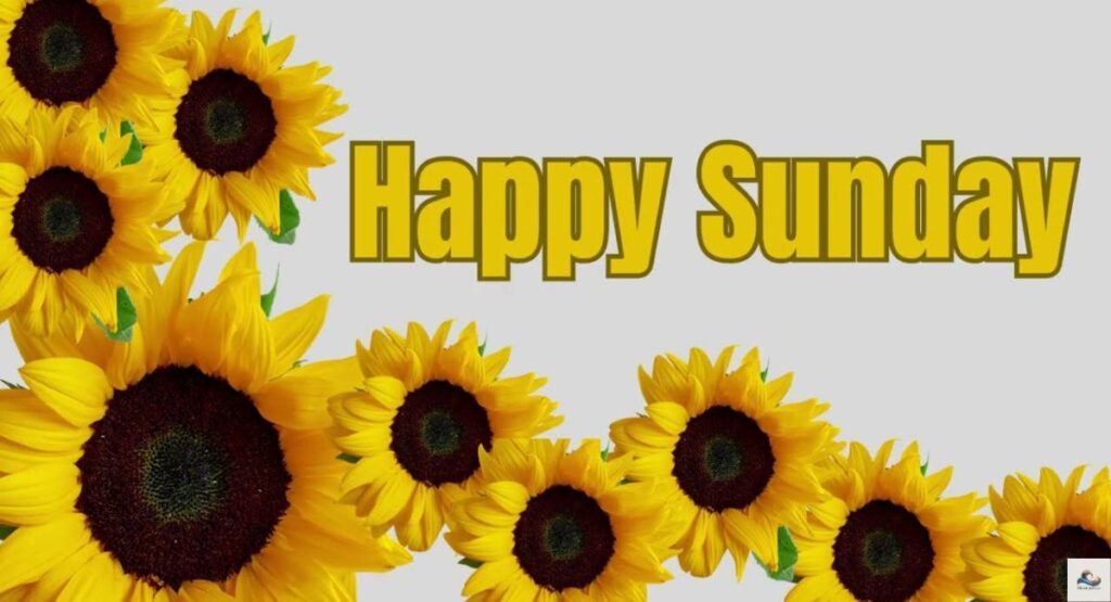 Happy Sunday