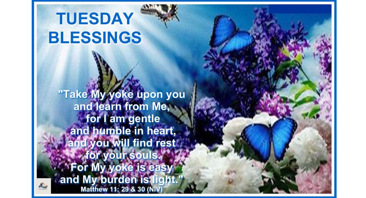 Sweet Tuesday Blessings for Peace, Love, and Happiness