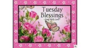 Tuesday Evening Blessings